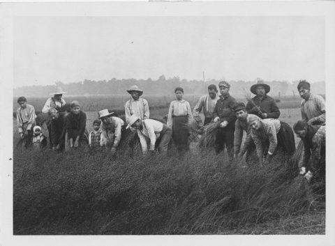 Precedented Times: The 1916 Polio Outbreak in Hullett Township | Huron ...